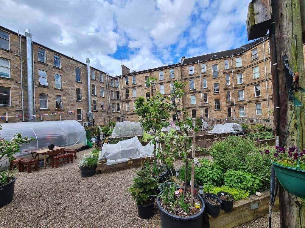 Glasgow tenement back courts with allotment gardens